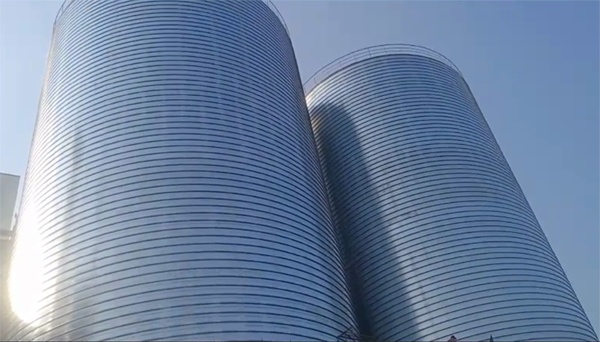 毕节2座混凝土高架卷板仓